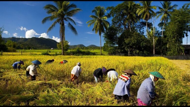 কবিতা/ সোনার বাংলা