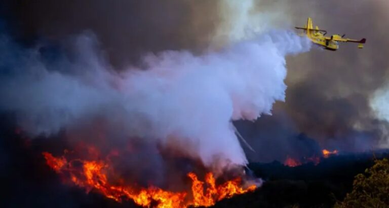 লস অ্যাঞ্জেলেসে দাবানলে মৃতের সংখ্যা বেড়ে ১০
