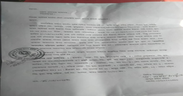 নেছারাবাদে বিএনপি নেতার বিরুদ্ধে হাটের ইজারা তুলতে বাধা