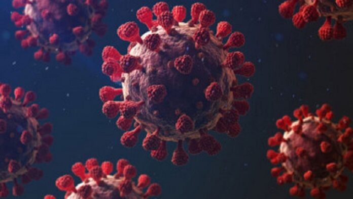 এক মাসে করোনা সংক্রমণ বেড়েছে প্রায় ৪ গুণ এক মাসে করোনা সংক্রমণ বেড়েছে প্রায় ৪ গুণ