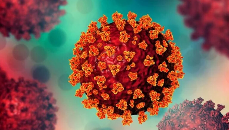 করোনায় আরও ২ জনের মৃত্যু, শনাক্ত ১৮