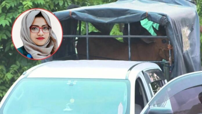 সরকারি গাড়িতেই গরু নিয়ে গেলেন ইউএনও