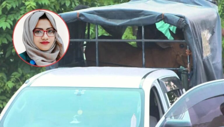 সরকারি গাড়িতেই গরু নিয়ে গেলেন ইউএনও