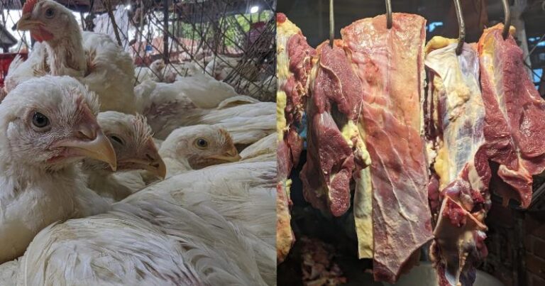 কিছুটা কমেছে মুরগির দাম, গরু ও খাসির মাংসের দাম অপরিবর্তিত