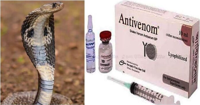 দেশের সব হাসপাতালে সাপের কামড়ের ওষুধ অ্যান্টিভেনম পাঠাতে নির্দেশ দেশের সব হাসপাতালে সাপের কামড়ের ওষুধ অ্যান্টিভেনম পাঠাতে নির্দেশ