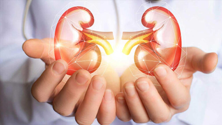 কিডনি ভালো রাখতে খাবেন যে ৩টি খাবার