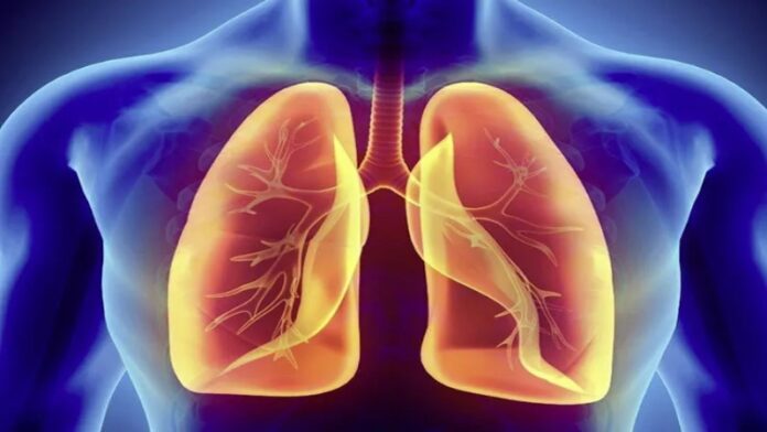 ফুসফুসের যত্নে কী খাবেন ও কী খাবেন না