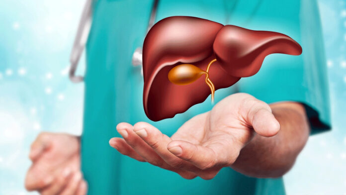 নীরবে লিভারের ক্ষতি করছে যে ৩টি খাবার
