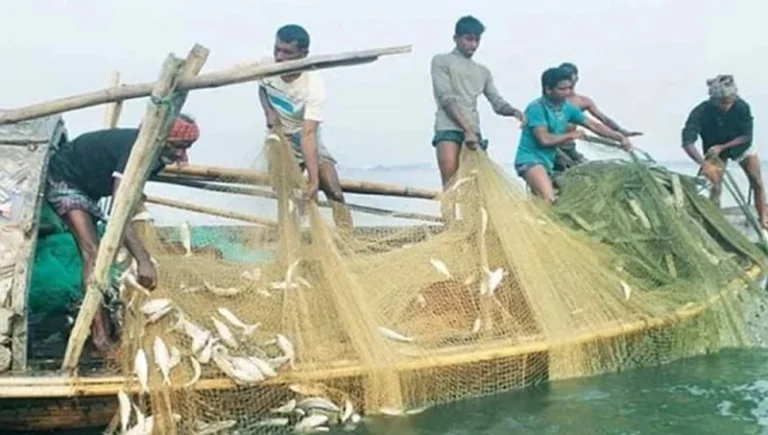 আজ মধ্যরাত থেকে পদ্মা-মেঘনায় মাছ ধরা বন্ধ