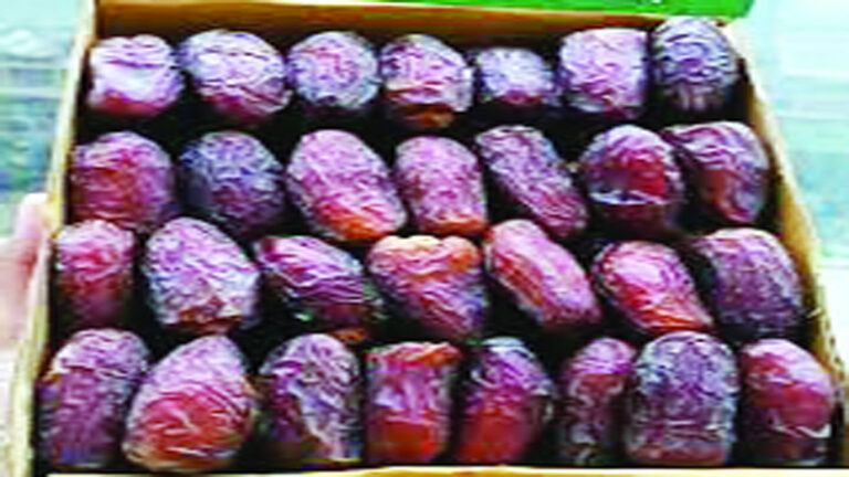 রমজান সামনে রেখে খেজুর বাজার জমজমাট