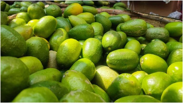 লেবুর দাম নিয়ে সুখবর