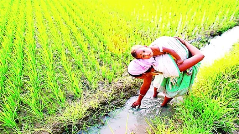 শ্রমশক্তিতে নারী