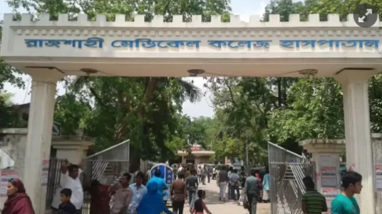 আইসিইউর সিরিয়াল যখন এলো, গৌরী তখন শ্মশানে