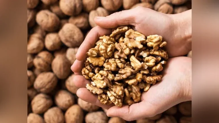 কীভাবে আখরোট খেলে রোগ প্রতিরোধ ক্ষমতা বাড়বে