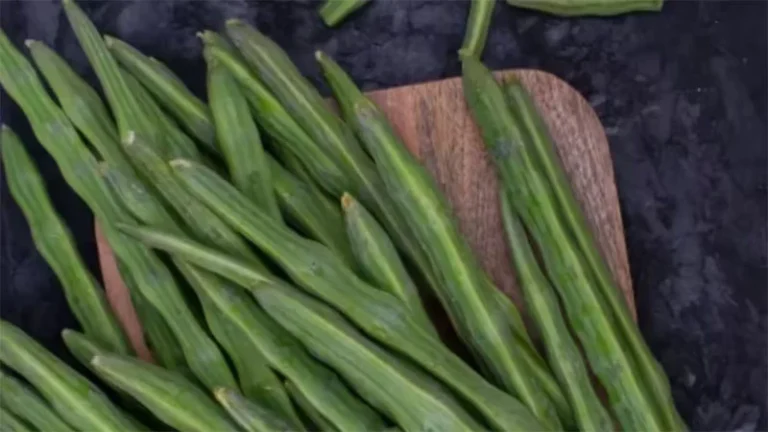 গরমে হজমশক্তি বাড়ায় সজনে ডাঁটা