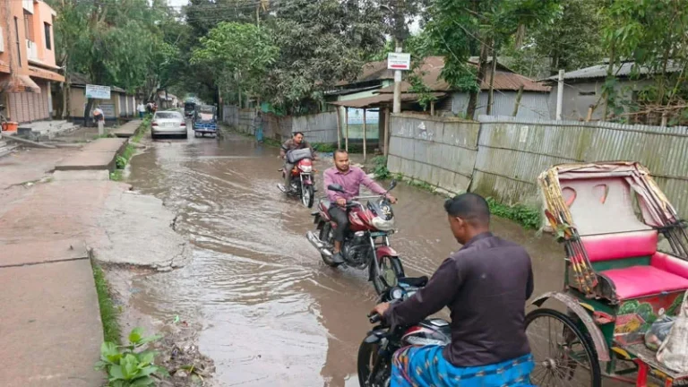বৃষ্টি হলেই সড়কে হাঁটুসমান পানি, দুর্ভোগে পৌরবাসী