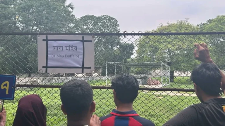 ঈদের ছুটিতে দর্শনার্থীদের নতুন আকর্ষণ ‘ডোনাল্ড ট্রাম্প’
