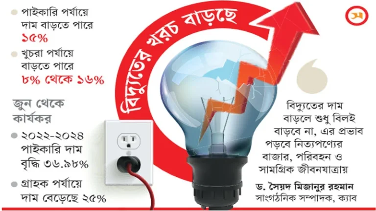 ঈদের ছুটির পর বাড়তে পারে বিদ্যুতের দাম