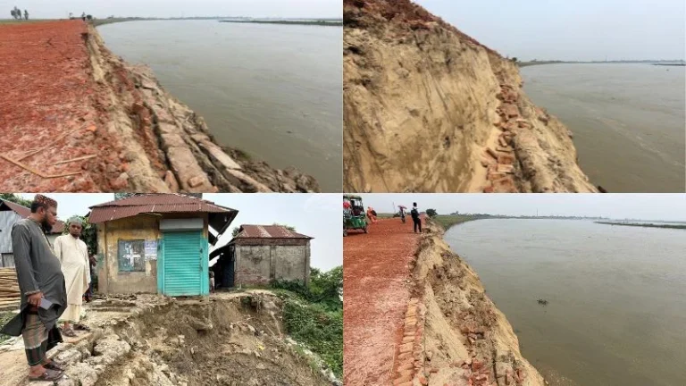 কিশোরগঞ্জ, ব্রাহ্মণবাড়িয়া  নদী ভাঙনে দিশেহারা দুই জেলার মানুষ, বিলীন হচ্ছে জনপদ ও ফসলি জমি