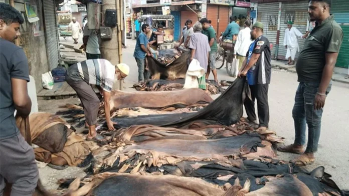 চামড়ার বাজারে এবারও ধস, সরকারের বেঁধে দেওয়া দাম কেউ মানেনি