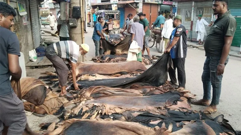 চামড়ার বাজারে এবারও ধস, সরকারের বেঁধে দেওয়া দাম কেউ মানেনি