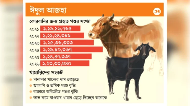 দুই বছরে দেশে গরু-ছাগল কমেছে সাড়ে ৬ লাখ