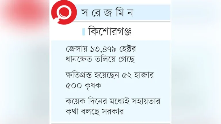ফসলডুবির পর ঋণের চক্রে হাওরের কৃষক