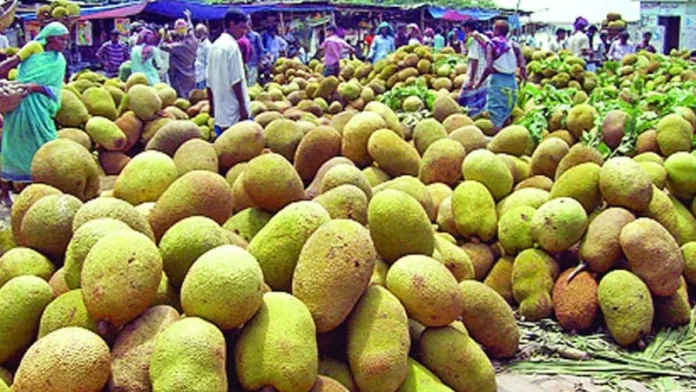 কাঁঠাল খুলেছে রপ্তানির নতুন সম্ভাবনার দ্বারwebp