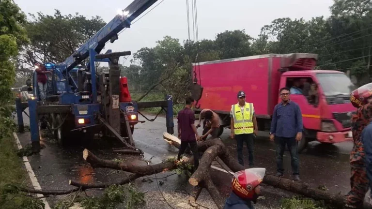 ঢাকা-চট্টগ্রাম মহাসড়ক ঝড়ে উপড়ে পড়ল অর্ধশত গাছ যান চলাচল বন্ধ সাড়ে ৩ ঘণ্টা