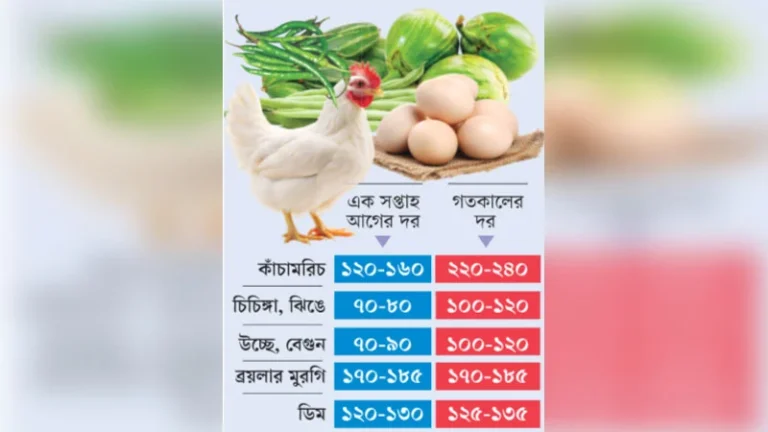 কাঁচামরিচের কেজি ২০০ টাকা ছাড়াল, সবজির দরও চড়া