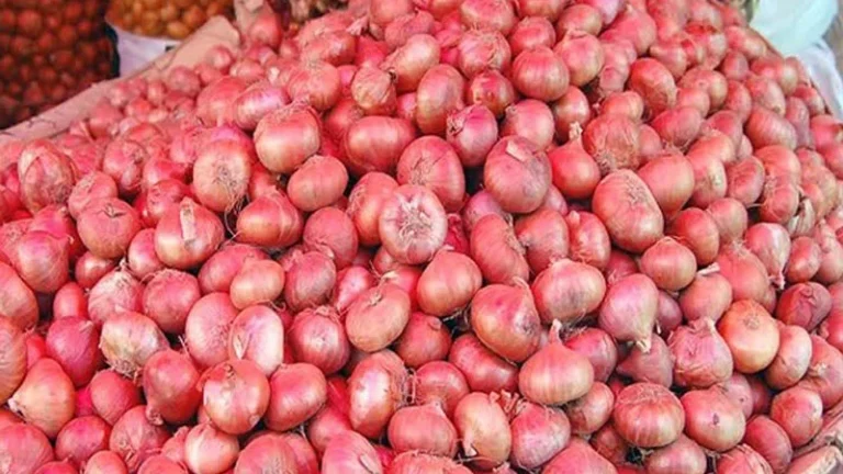 কৃষি মন্ত্রণালয়ের এয়ার-ফ্লো মেশিন ভুল পরিকল্পনা, পেঁয়াজ চাষির বিপদ পর্যাপ্ত পরীক্ষা-নিরীক্ষা না করেই প্রযুক্তি বিতরণ