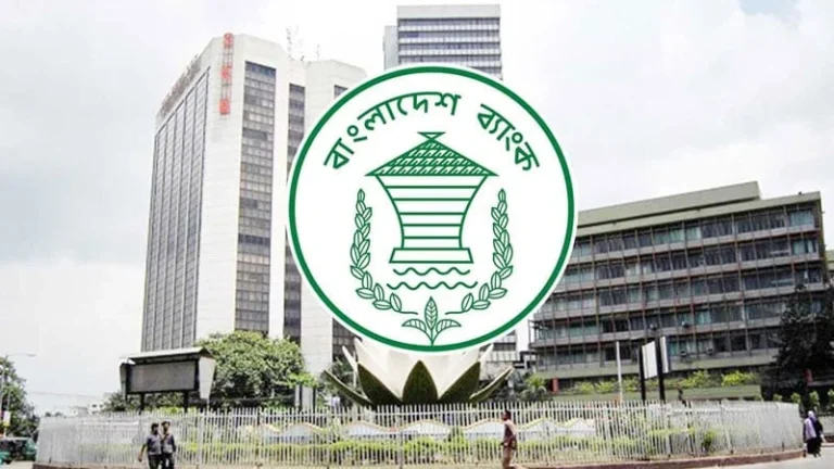 ঘোষণা ছাড়া ২০ হাজার ডলার আনতে পারবেন ফ্রিল্যান্সাররা