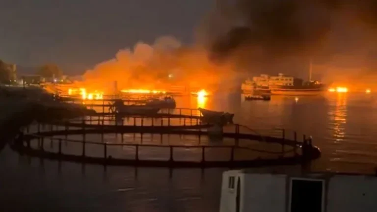 নতুন মার্কিন হামলায় ইরানে নিহত ১৪ কাতার, কুয়েত ও বাহরাইনে হামলা তেহরানের