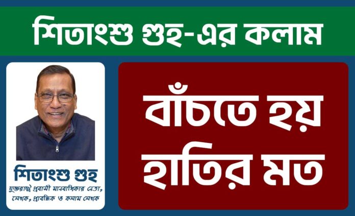 বাঁচতে হয় হাতির মত - Shitangsu Ghuho Website Banner বাঁচতে হয় হাতির মত - Shitangsu Ghuho Website Banner