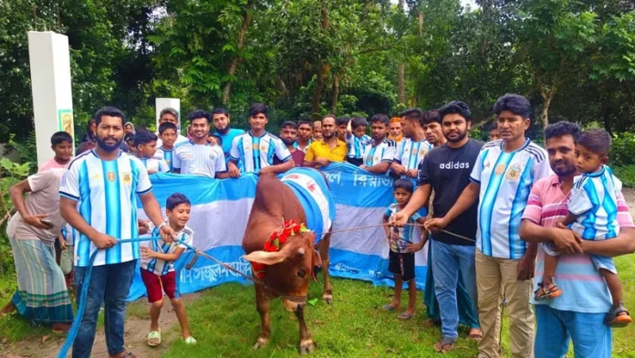 বিশ্বকাপ ফাইনাল উপলক্ষে গরু জবাই করে ভূরিভোজের আয়োজনwebp