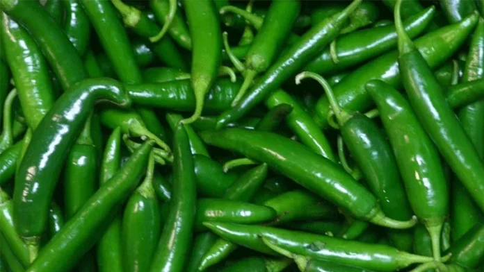 ৬০ টাকা পর্যন্ত দাম