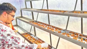 উদ্ভাবন শুঁটকি ও খাদ্য সংরক্ষণে লাগবে না রোদ