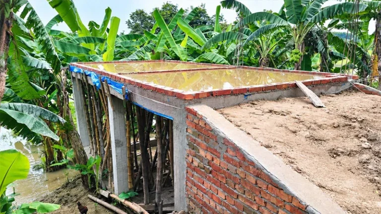 বড়ালে পুরোনো স্থাপনা উচ্ছেদ হয়নি, নতুন করে চলছে দখল