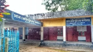 মাকে মৃত দেখিয়ে জমি লিখে নেওয়ার অভিযোগ