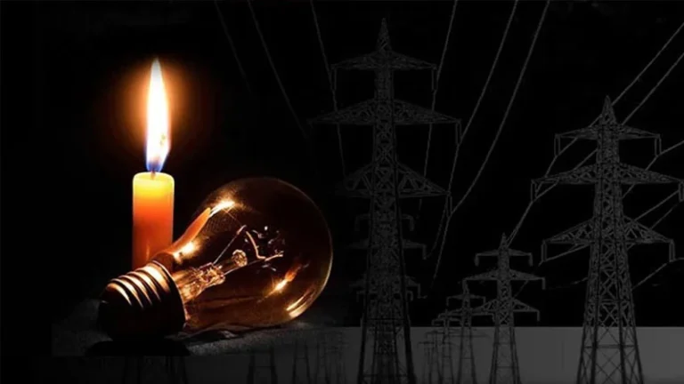 সারাদেশে লোডশেডিং পোলট্রি, মৎস্য ও কৃষি খাত ধুঁকছে মরছে মুরগি, চিংড়ি ঘেরে অক্সিজেন সংকট