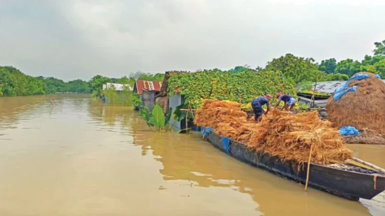 পদ্মায় পানি বৃদ্ধি, জলাবদ্ধ অর্ধলাখ মানুষ দৌলতপুরে দুর্ভোগে ৫০ হাজার মানুষ