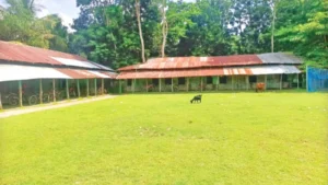 শিক্ষা বরিশালের ৮ কলেজে কোনো শিক্ষার্থীই ভর্তি হয়নি