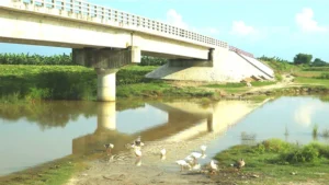সাত কোটি টাকার সেতুতে ফাটল