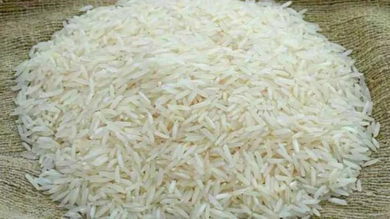 সুগন্ধি চাল রপ্তানিতে ৫০ শতাংশ কোটা কমাল সরকার ন্যূনতম রপ্তানিমূল্য প্রতি কেজি ১.৬০ মার্কিন ডলার
