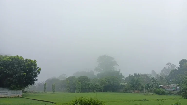 তেঁতুলিয়ায় কমছে তাপমাত্রা, ভোরে দেখা মিলছে কুয়াশার